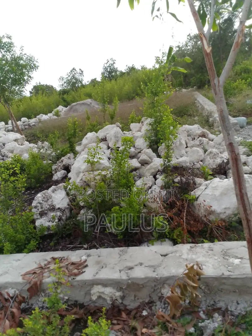 Residential Plot Right Behind Melia Hotel Kiwengwa