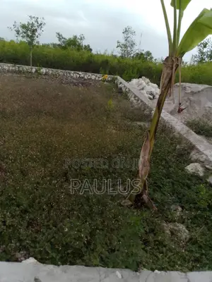 Residential Plot Right Behind Melia Hotel Kiwengwa