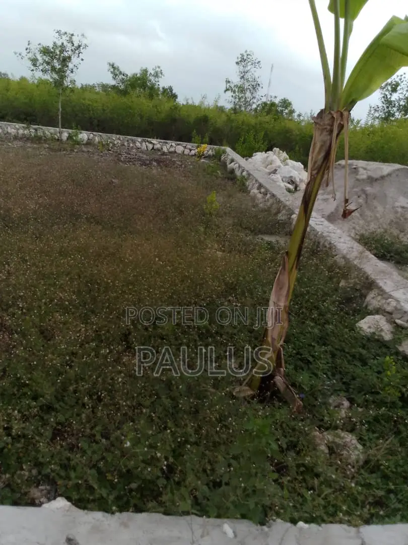 Residential Plot Right Behind Melia Hotel Kiwengwa