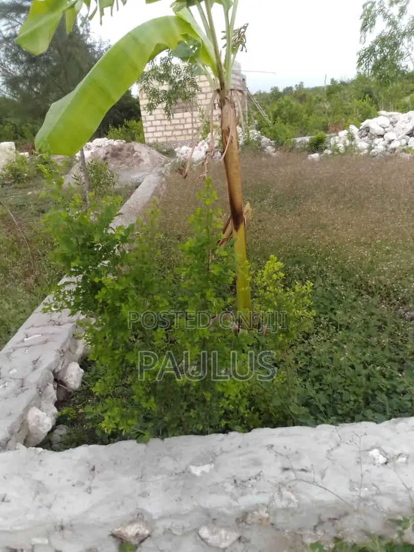 Residential Plot Right Behind Melia Hotel Kiwengwa