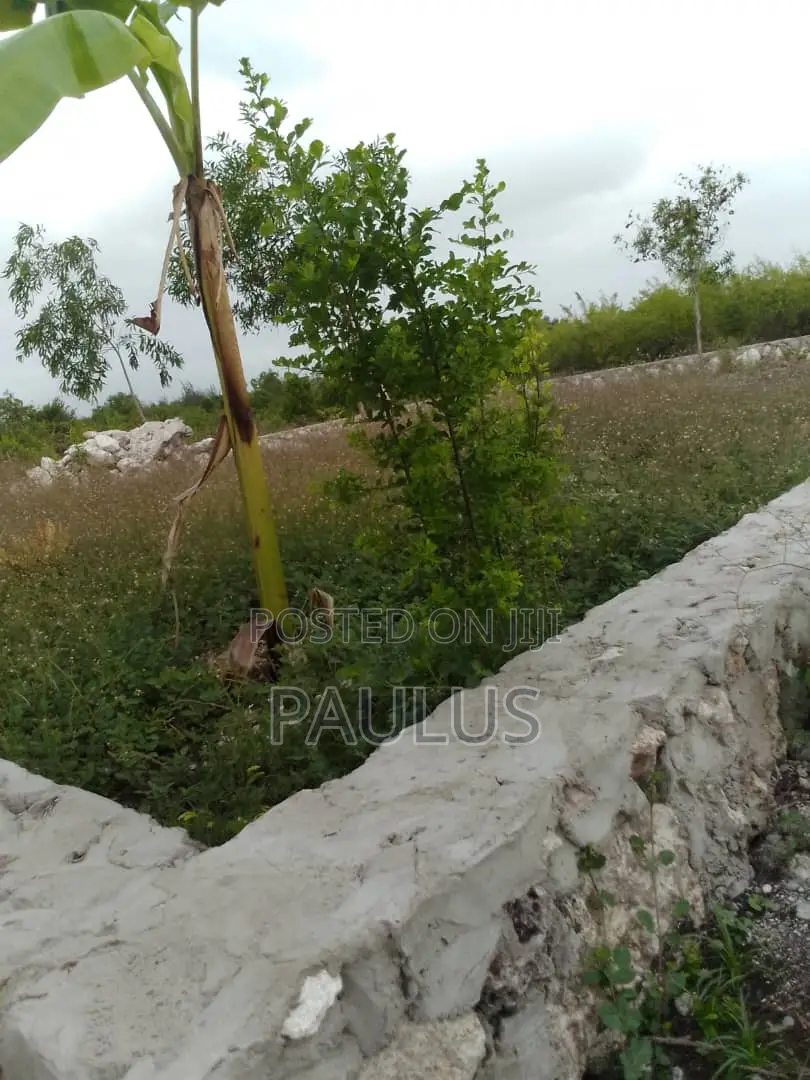 Residential Plot Right Behind Melia Hotel Kiwengwa
