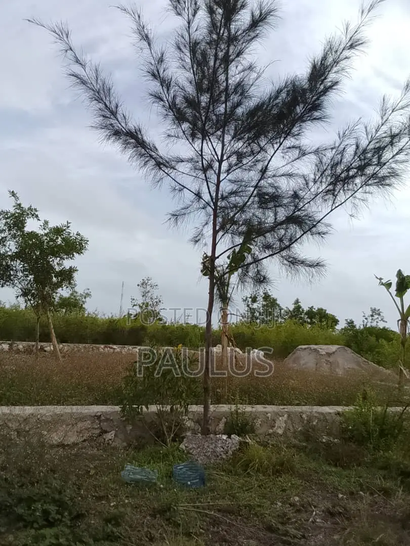 Residential Plot Right Behind Melia Hotel Kiwengwa