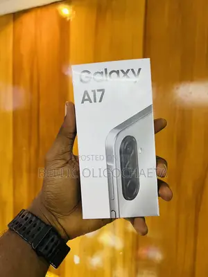 New Samsung Galaxy A17 256 GB Gray