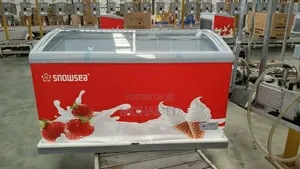 Snowsea Showcase Freezer Lita 470