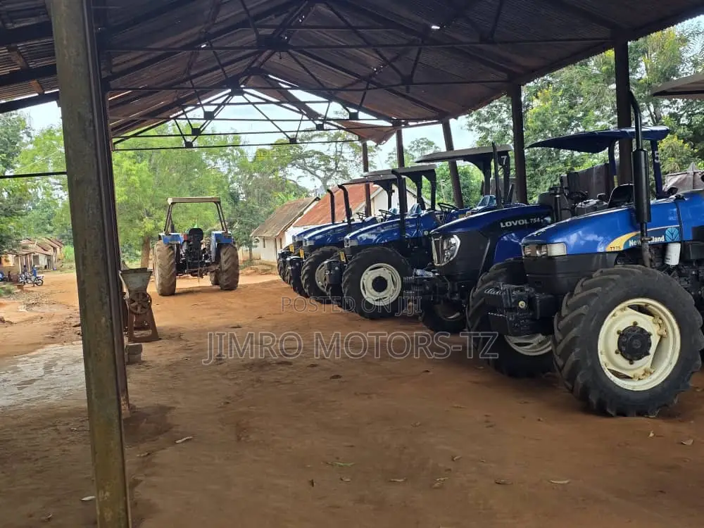 2. An 8000 Acre Sisal Farm In Muheza District In Tanga.