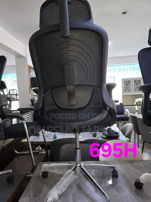 Office Chair (Head Rest ?