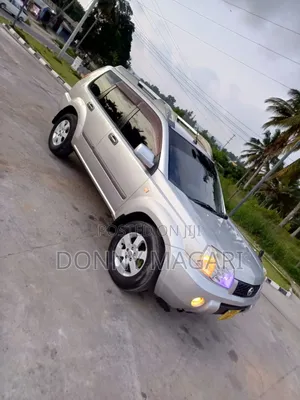 Nissan X-Trail 2.0 2005 Silver