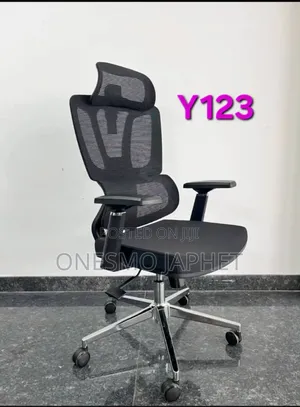 Ergonomic Office Chair