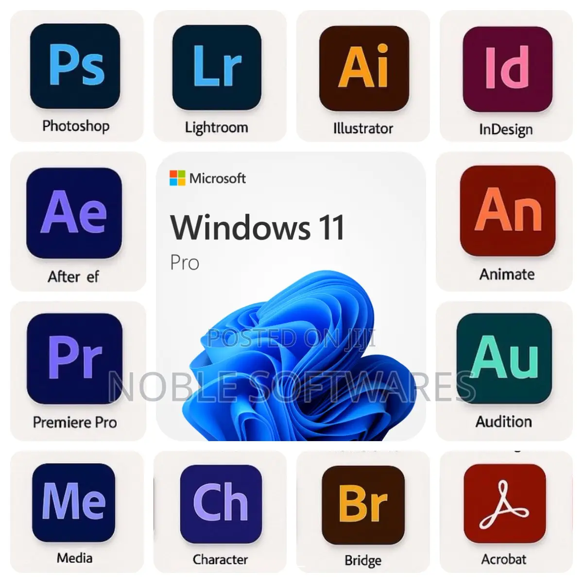 Windows 11 Pro + Adobe Master Collection 2025 ( Installation )