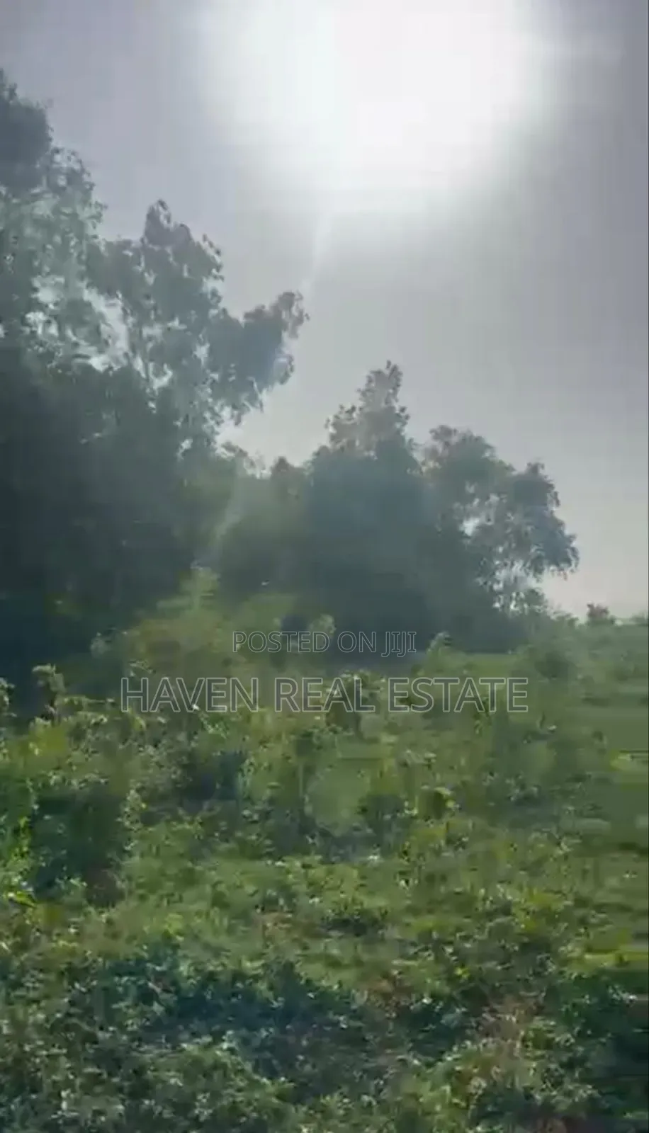 Beach Plot for Sale at Zanzibar