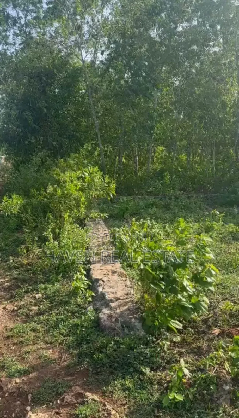 Beach Plot for Sale at Zanzibar