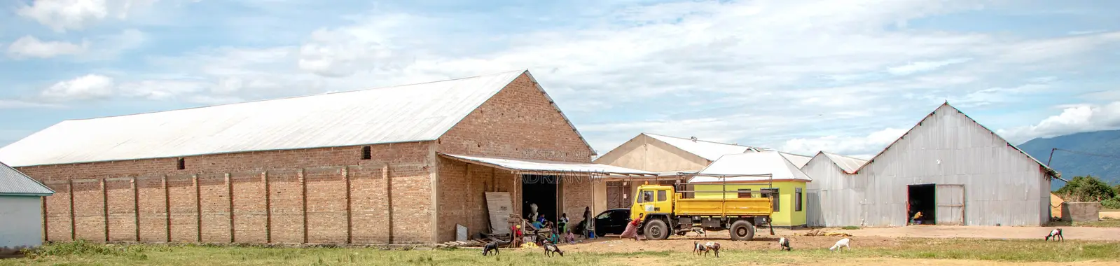 Warehouse With Rice Mill for Sale
