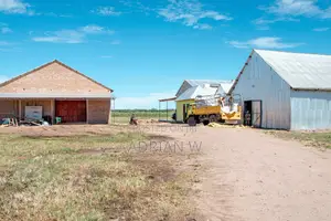 Warehouse With Rice Mill for Sale