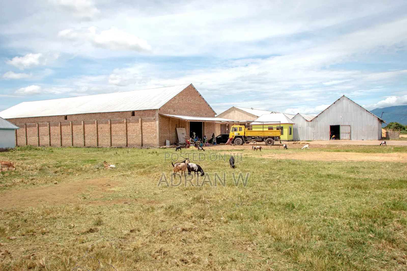Warehouse With Rice Mill for Sale
