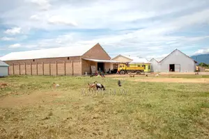 Warehouse With Rice Mill for Sale