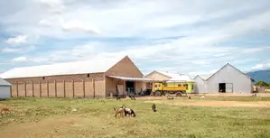 Warehouse With Rice Mill for Sale
