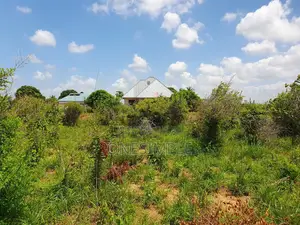 Kiwanja Kinauza Industrial Zone, Kibaha - Visiga Madafu