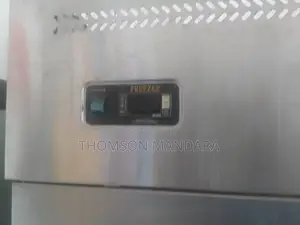 Heavy Duty 2 Doors Freezer