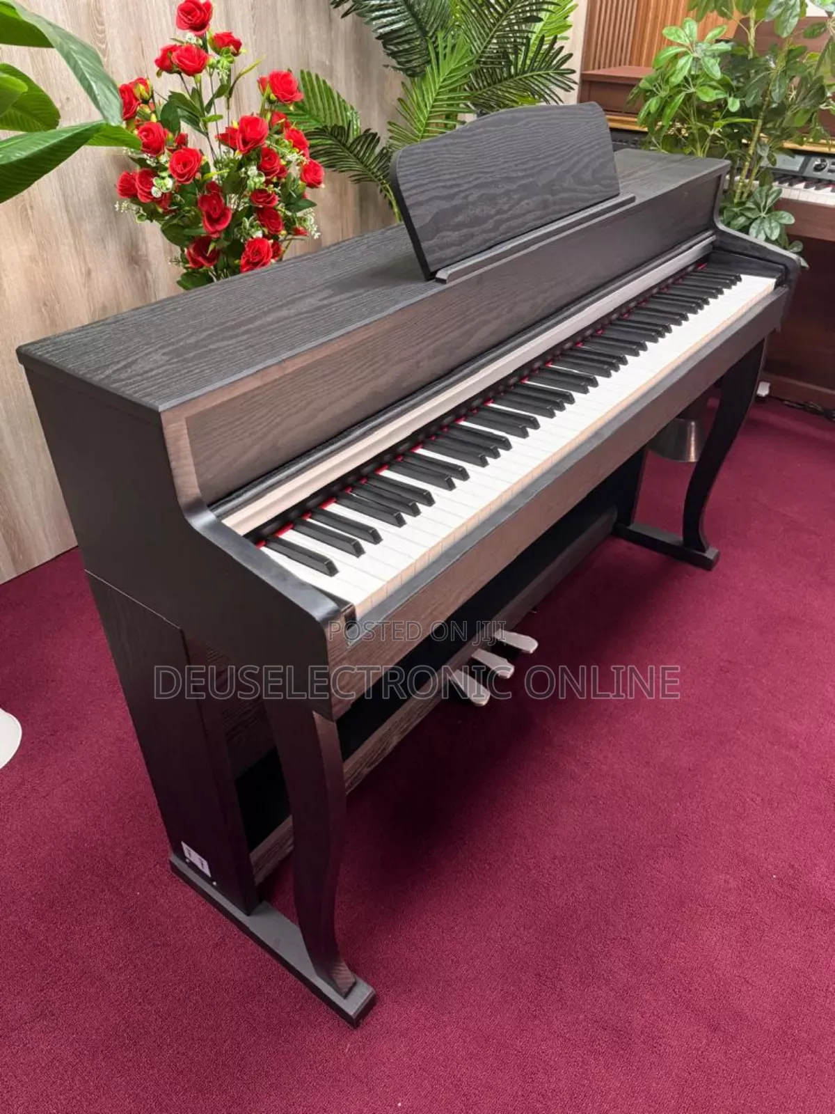 Digital Piano 88 Keys Yenye Jumba Lake La Stand . Only Piano Song .