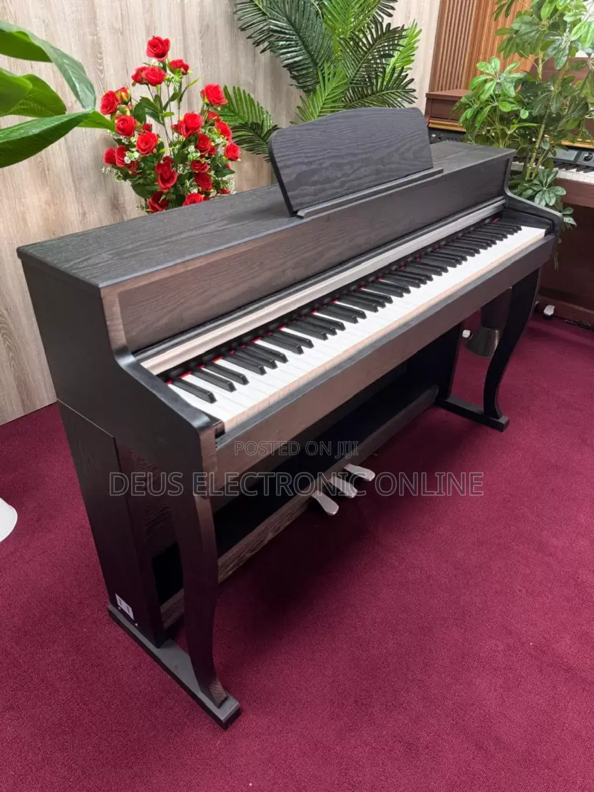 Digital Piano 88 Keys Yenye Jumba Lake La Stand . Only Piano Song .