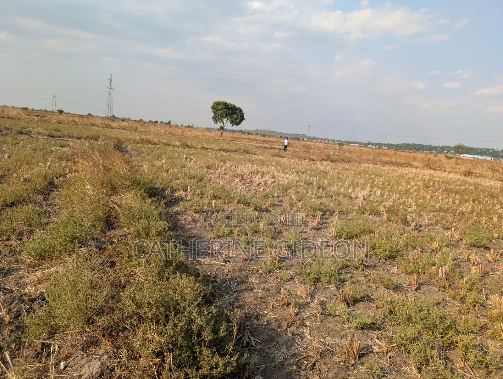 Plot 52 for Sale