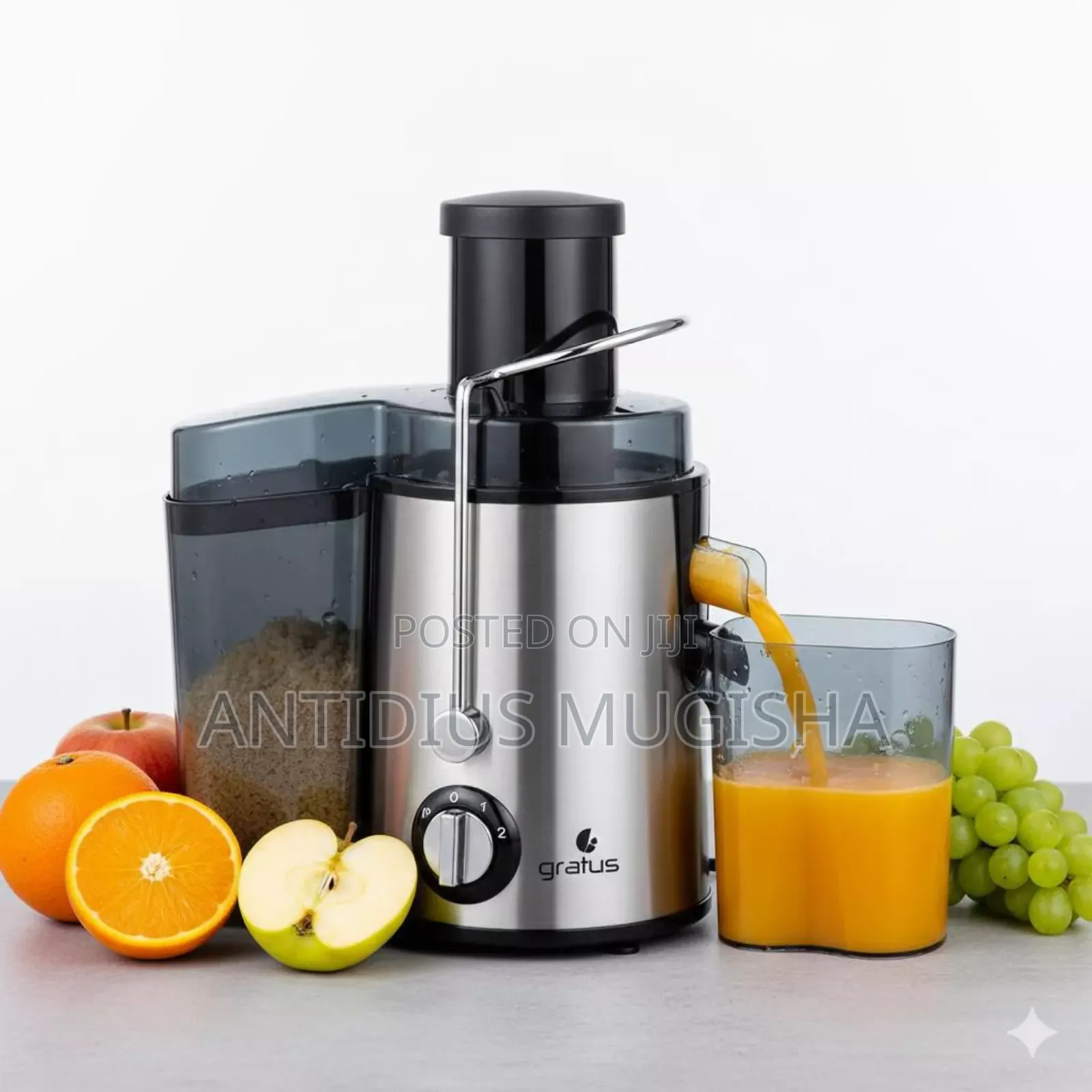 High Performance Electric Juicer
