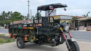 New Bajaj Avenger 220 Cruise 2025 Green