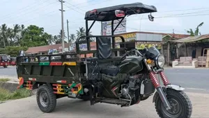New Bajaj Avenger 220 Cruise 2025 Green