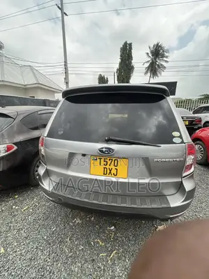 Subaru Forester 2009 Gray
