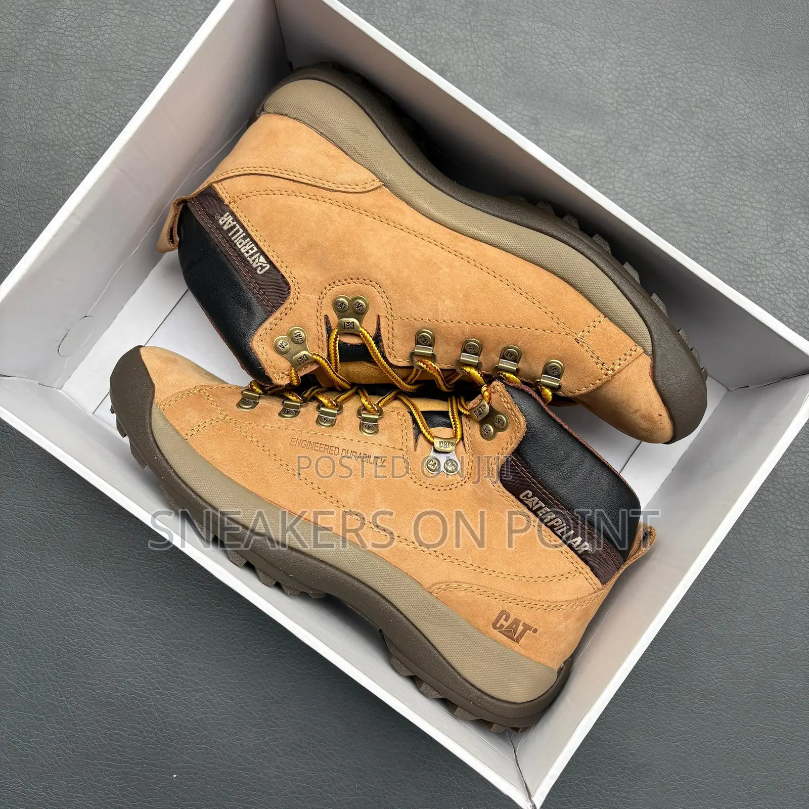 This Is a Pair of Caterpillar Work Boots,