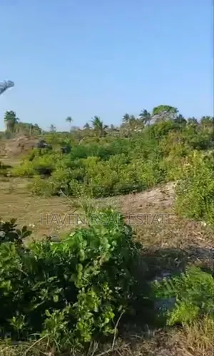 Beach Plot Ya Ekari 14 Inauzwa Mwinduro, Tanga