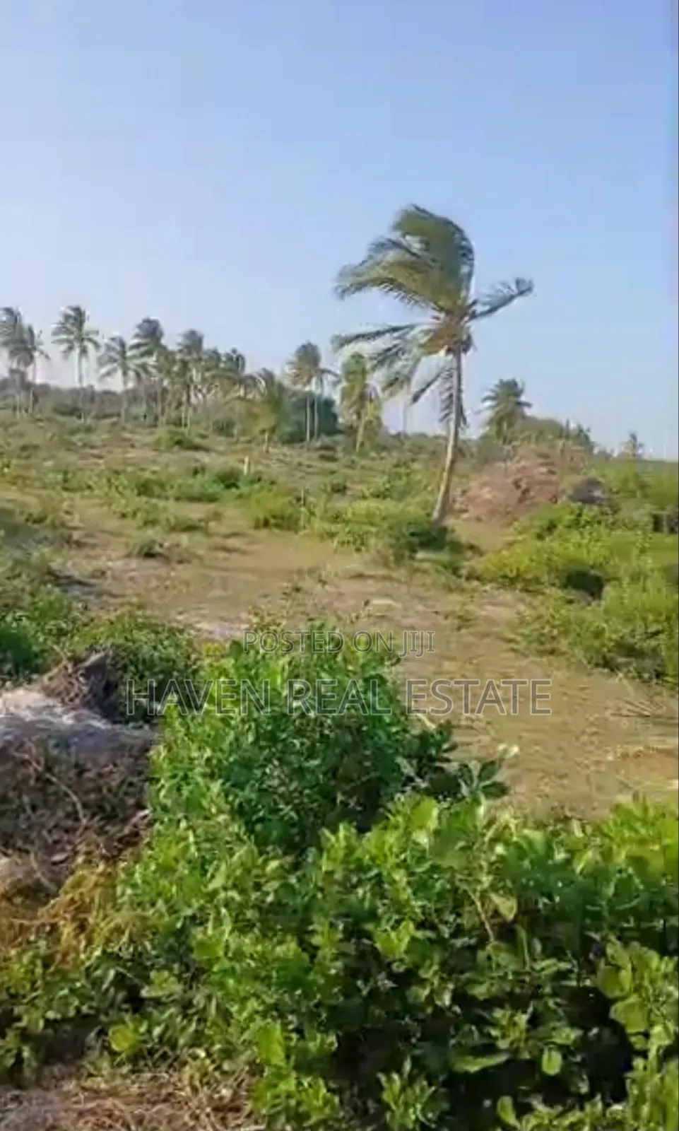 Beach Plot Ya Ekari 14 Inauzwa Mwinduro, Tanga