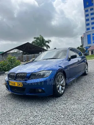 BMW 3 Series 2011 Blue