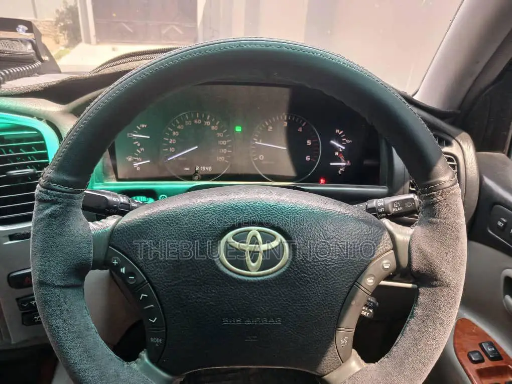 Toyota Land Cruiser 2004 Gray
