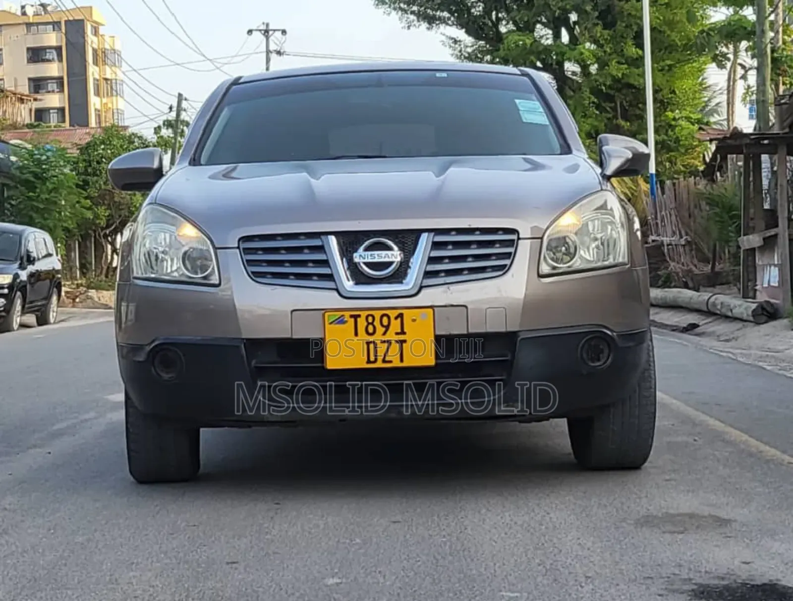 Nissan Dualis 2008 Gray
