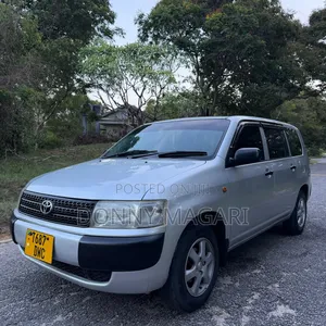 Toyota Probox 1.4 DT GL 2WD 2006 Silver