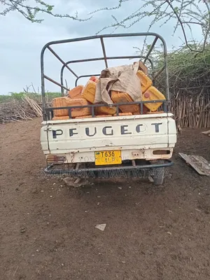 Peugeot 404 1998 White