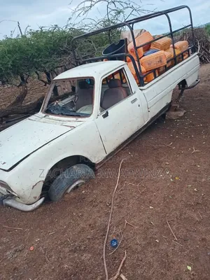 Peugeot 404 1998 White