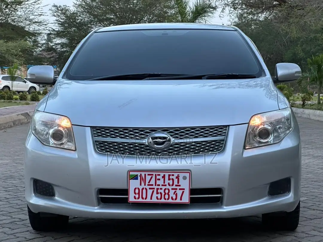 Toyota Corolla Fielder 2008 Silver