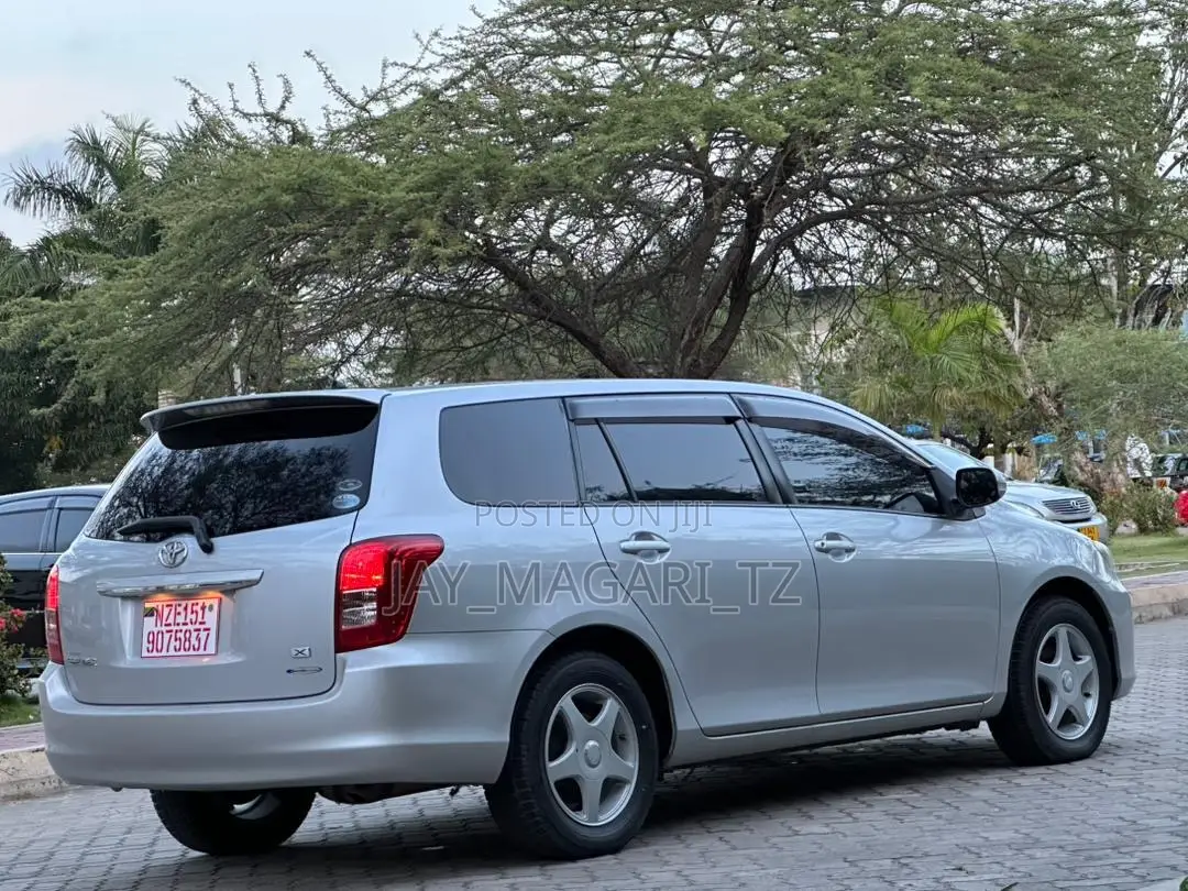 Toyota Corolla Fielder 2008 Silver