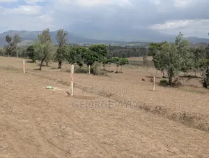 Wauzaji Bora Wa Viwanja