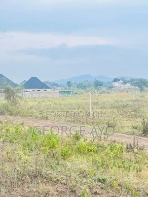 Wauzaji Bora Wa Viwanja