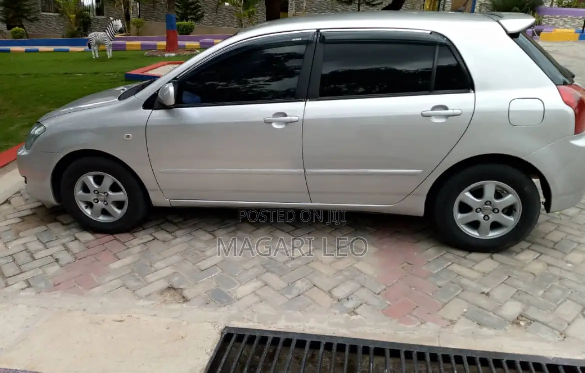 Toyota Corolla RunX 2005 Silver