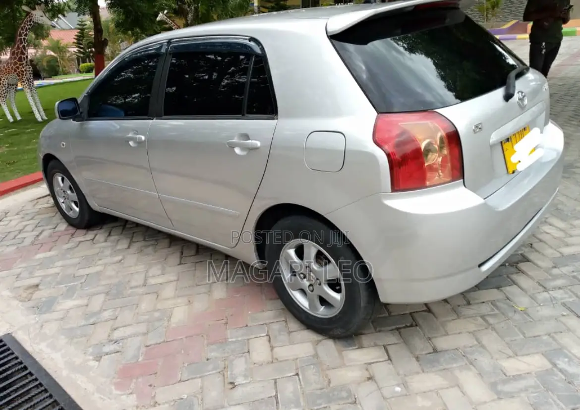 Toyota Corolla RunX 2005 Silver