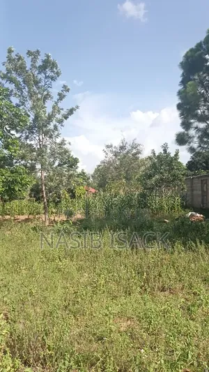 Plot for Sale Mwanza Busweru