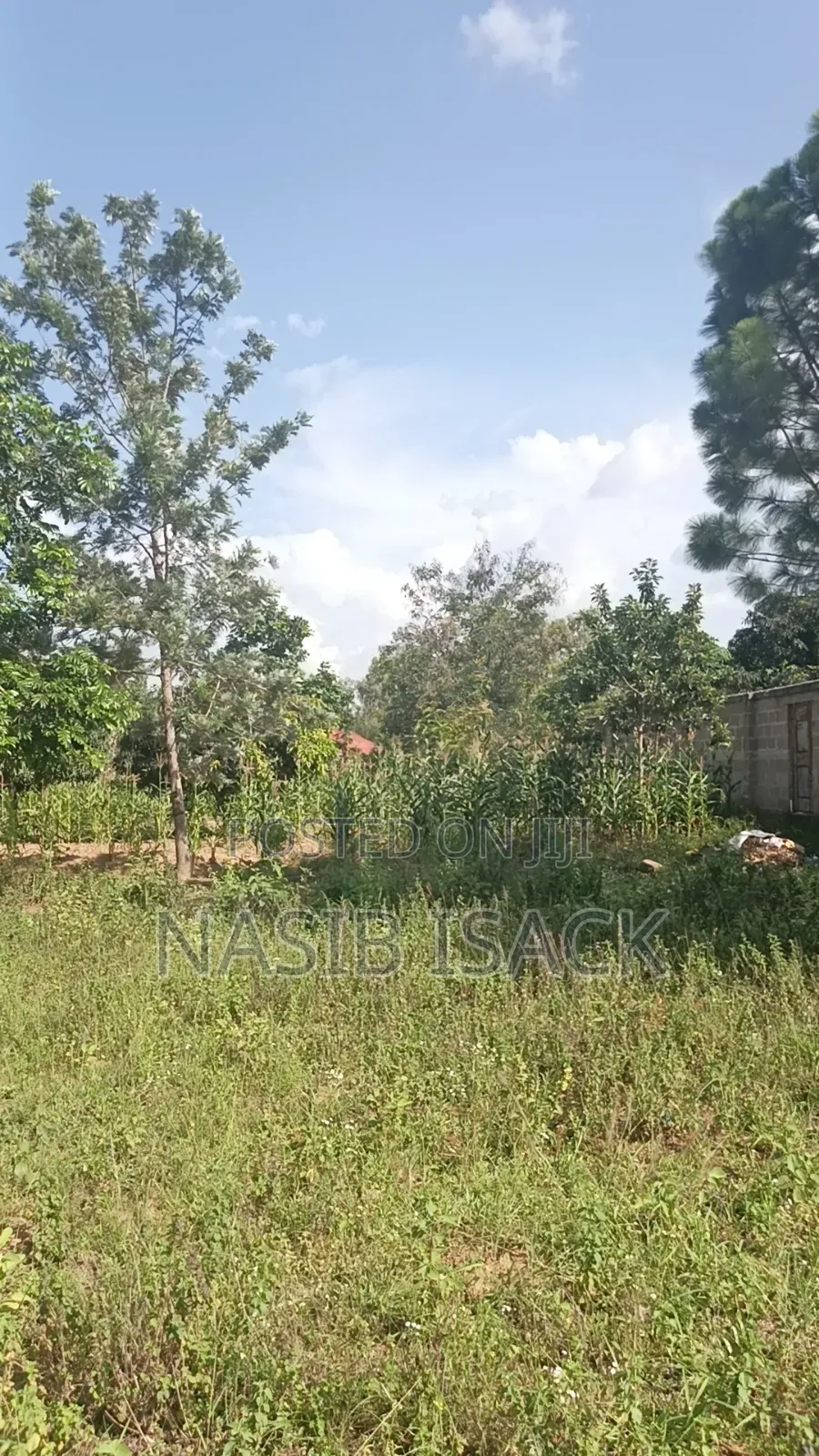 Plot for Sale Mwanza Busweru
