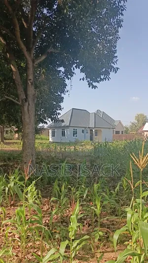 Plot for Sale Mwanza Busweru