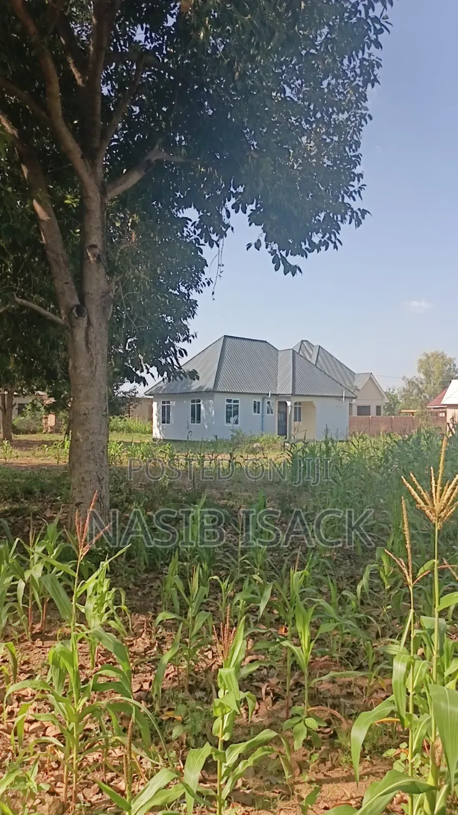 Plot for Sale Mwanza Busweru