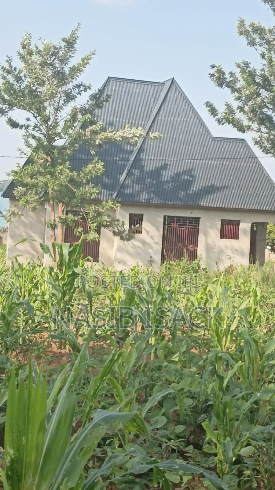 Plot for Sale Mwanza Busweru