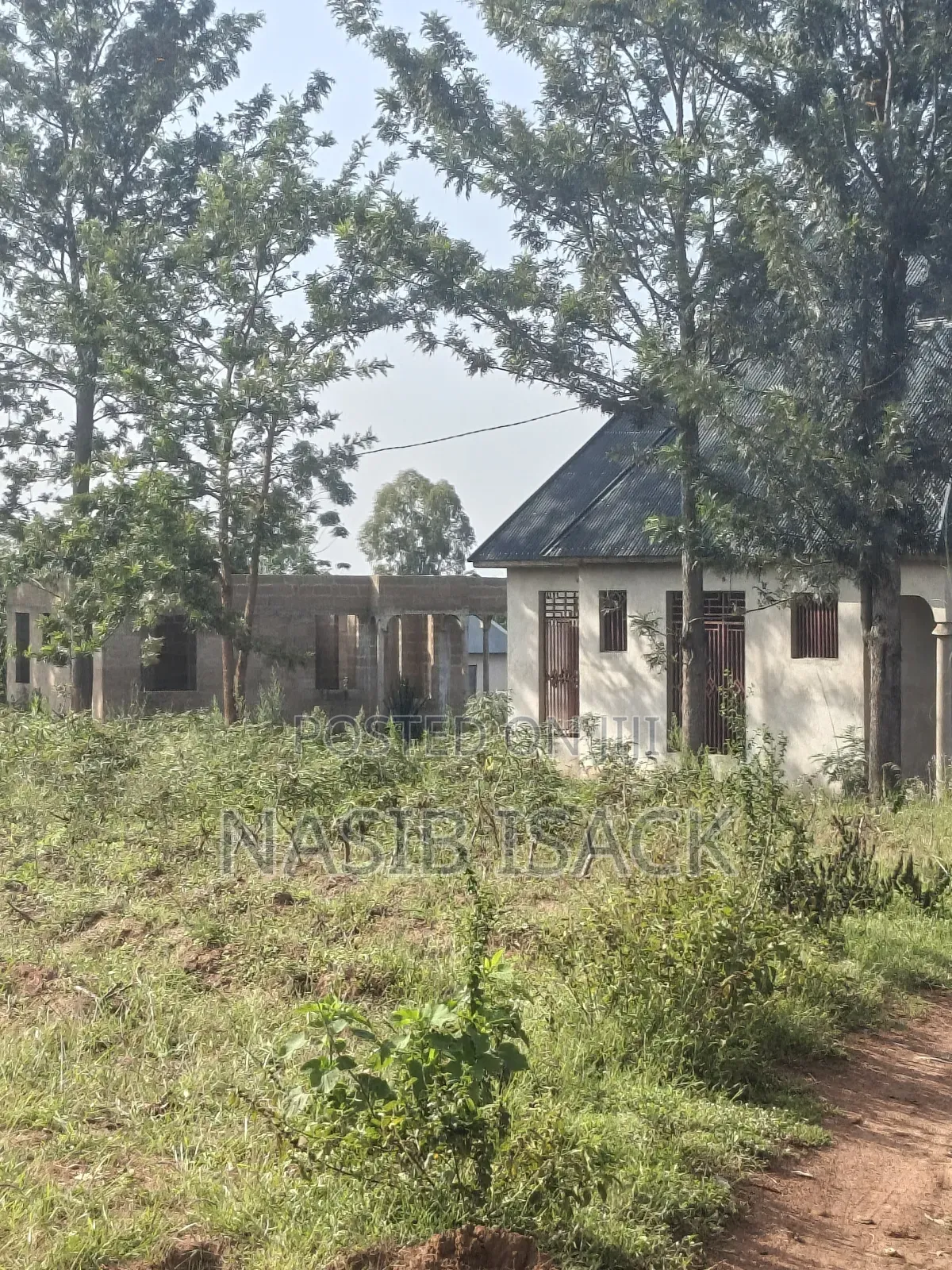Plot for Sale Mwanza Busweru
